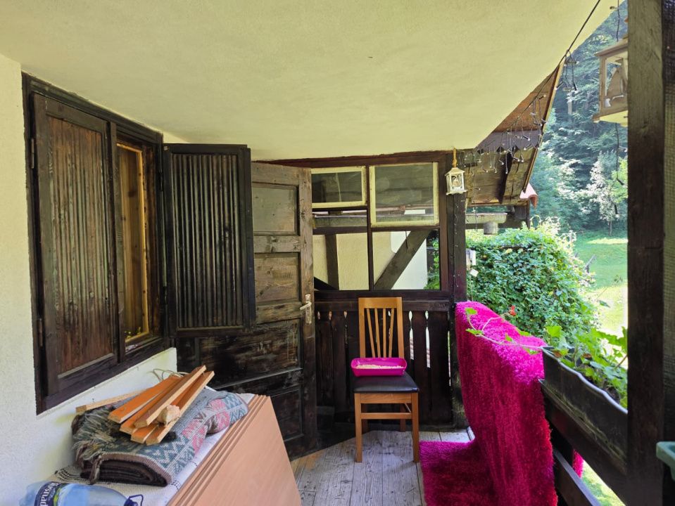 🏡 PROPRIETATE EXTRAORDINARĂ– LOTRIOARA, JUDEȚUL SIBIU! 🌲 – fotografia 38 din 72