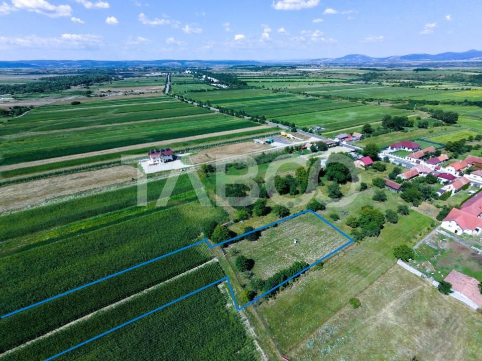 Teren intravilan 2000 mp si extravilan 1150 mp de vanzare in Vad – fotografia 2 din 6