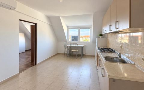 Apartament 3 camere, open space, zona Lipovei -Thalia