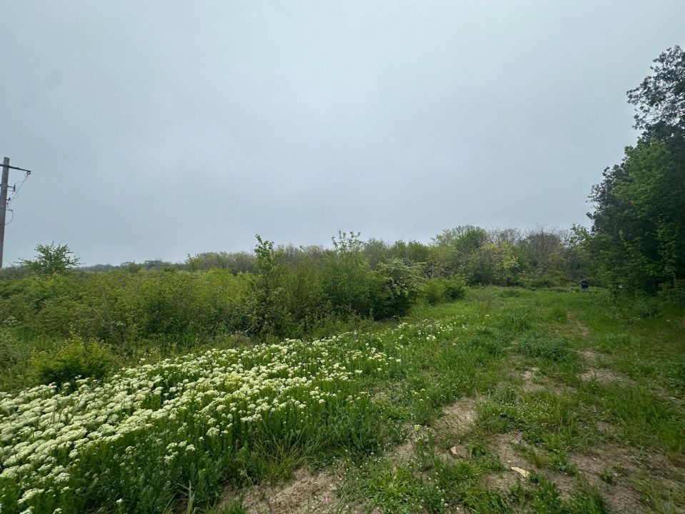 Investitie Litoral! Teren intravilan de vanzare | 46.000mp | Neptun – fotografia 19 din 24