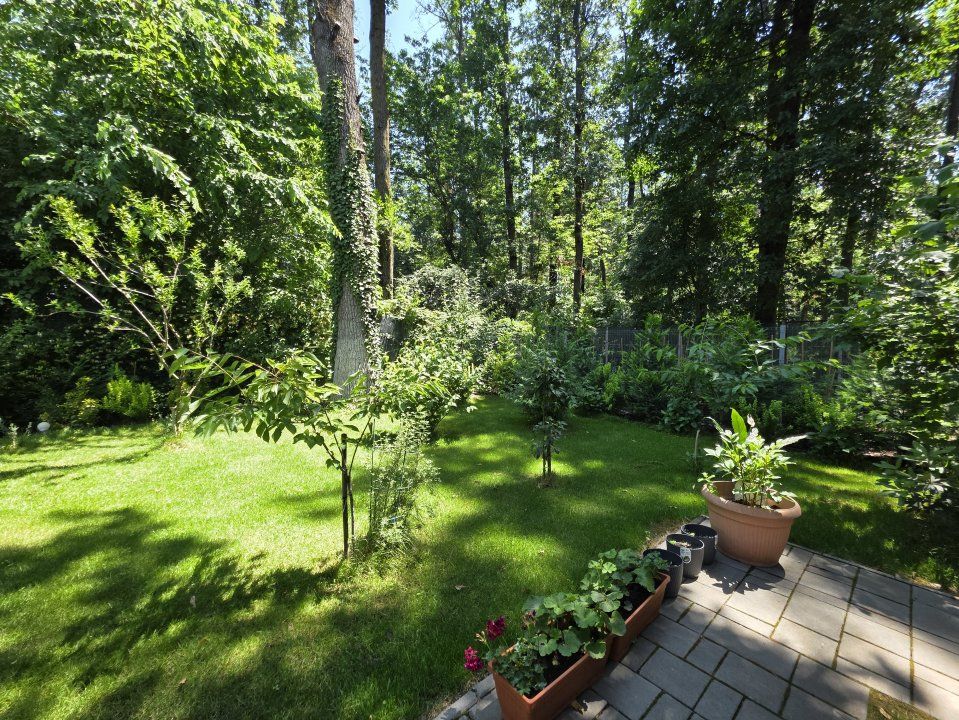 Forest Lifestyle | Vilă premium în Mogoșoaia – fotografia 19 din 29