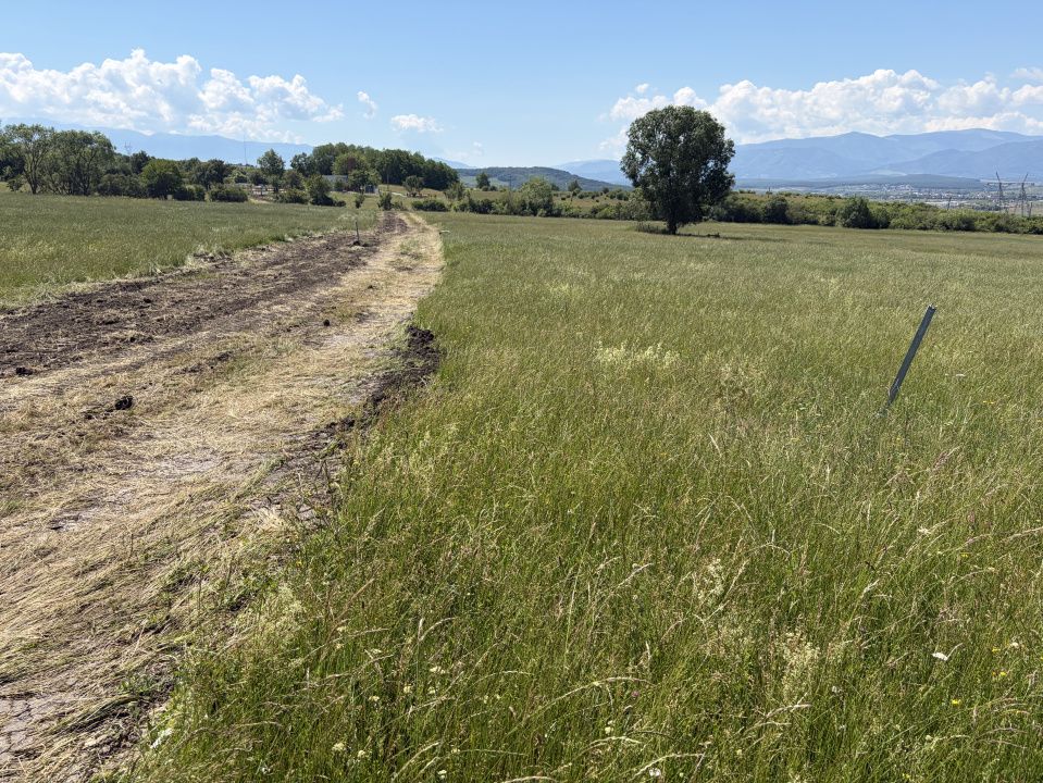Teren lângă Sibiu zona Dealul Daii – fotografia 5 din 8