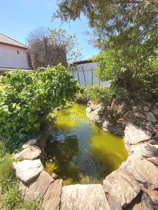 Vila cu piscina de vanzare, zona Olosig, Oradea, Bihor – fotografia 6 din 17