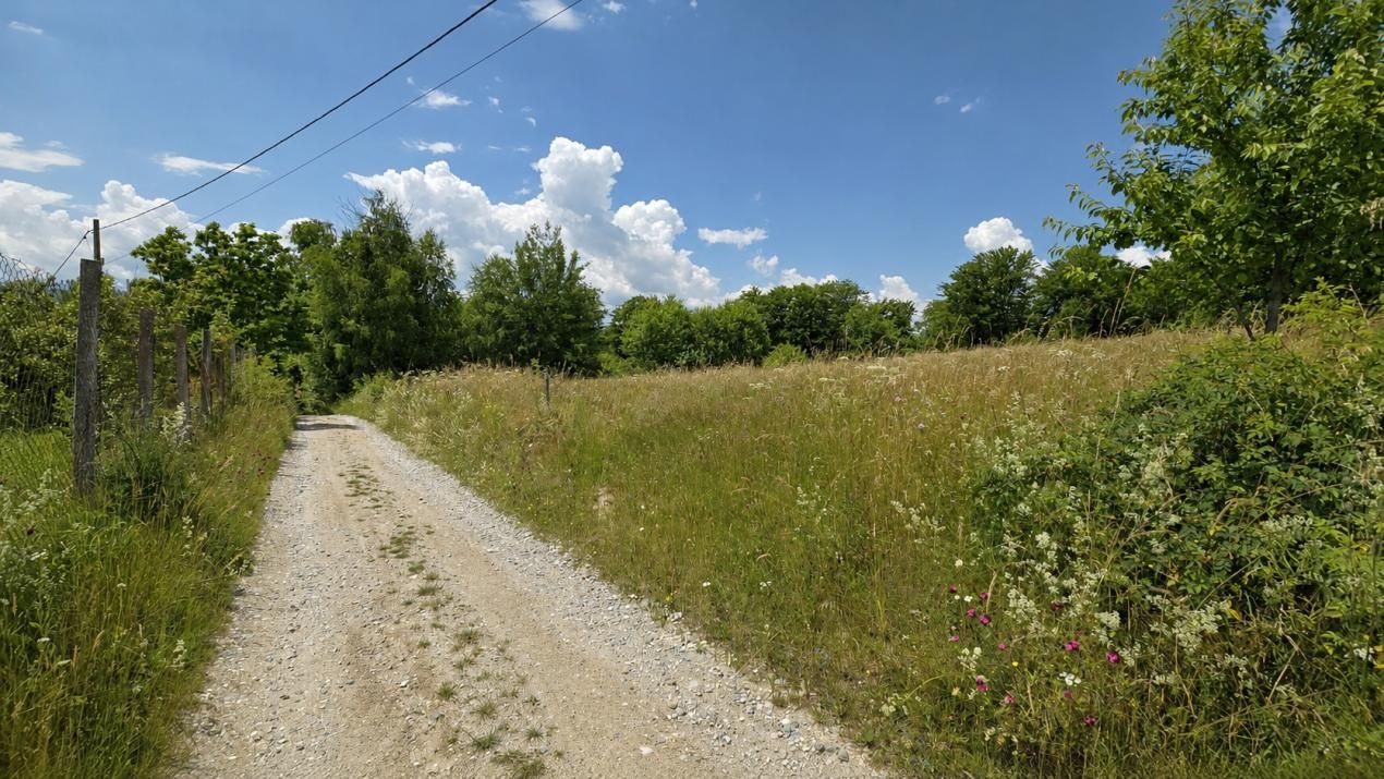 De vânzare teren cu potențial de dezvoltare zona  After Hills – fotografia 6 din 7
