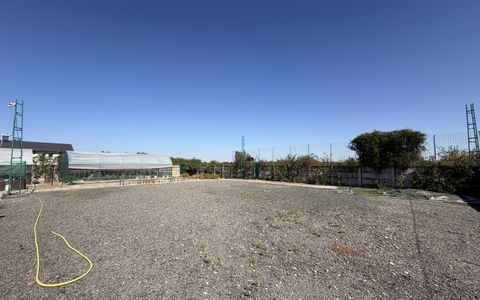 Teren intravilan, 300mp, zona Strand Coloseum