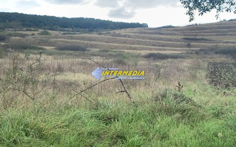 Teren intravilan de vanzare 1248 mp d=15 mTeleac cu utilitati panorama deosebita