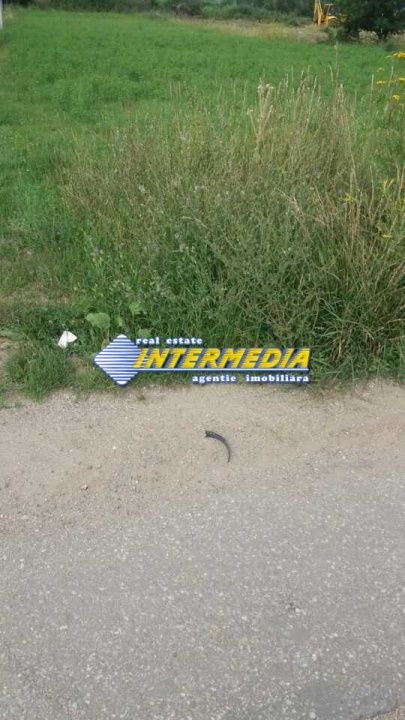 Teren Intravilan de vanzare cu in suprafata de 1600 mp  zona Alba-Micesti – fotografia 1 din 1