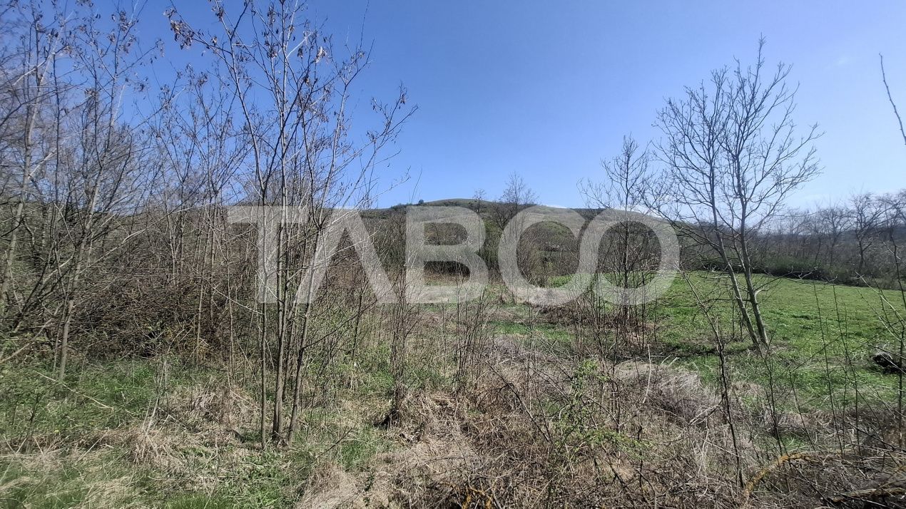 Teren de vanzare 1450 mp intravilan Slimnic Sibiu – fotografia 1 din 3