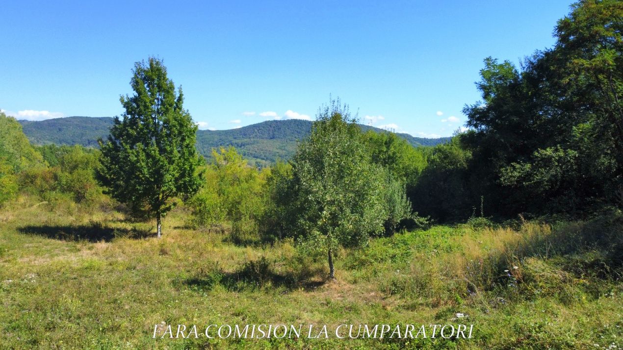 TEREN LANGA ORAS, CADRU NATURAL MINUNAT – fotografia 9 din 14