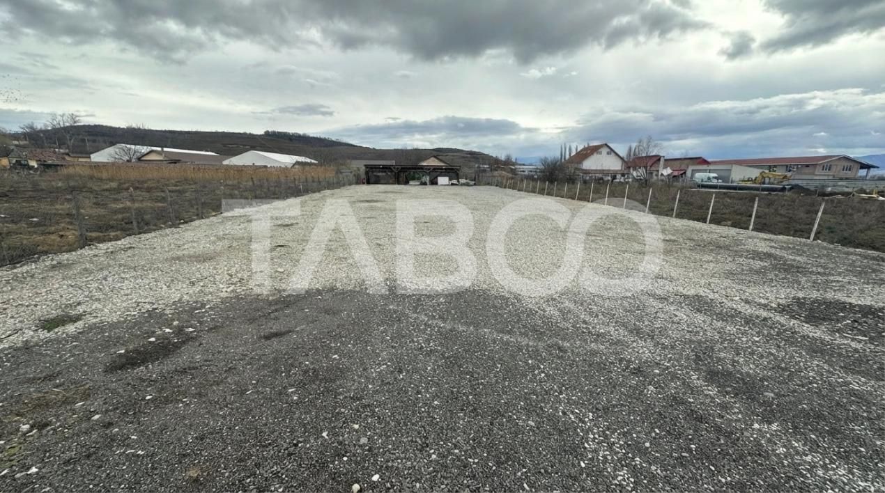 Teren de inchiriat 2000mp acces direct din drum asfaltat Viile Sibiulu – fotografia 1 din 4