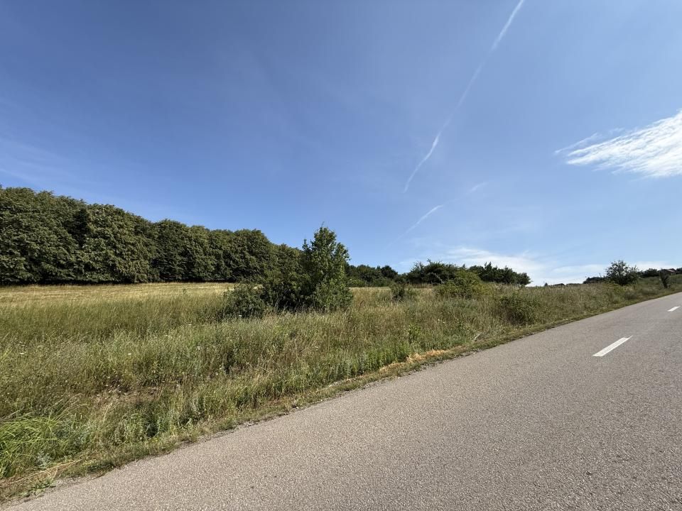 Teren intravilan 6297mp în Com. Mociu , Zorenii de Vale – fotografia 4 din 13