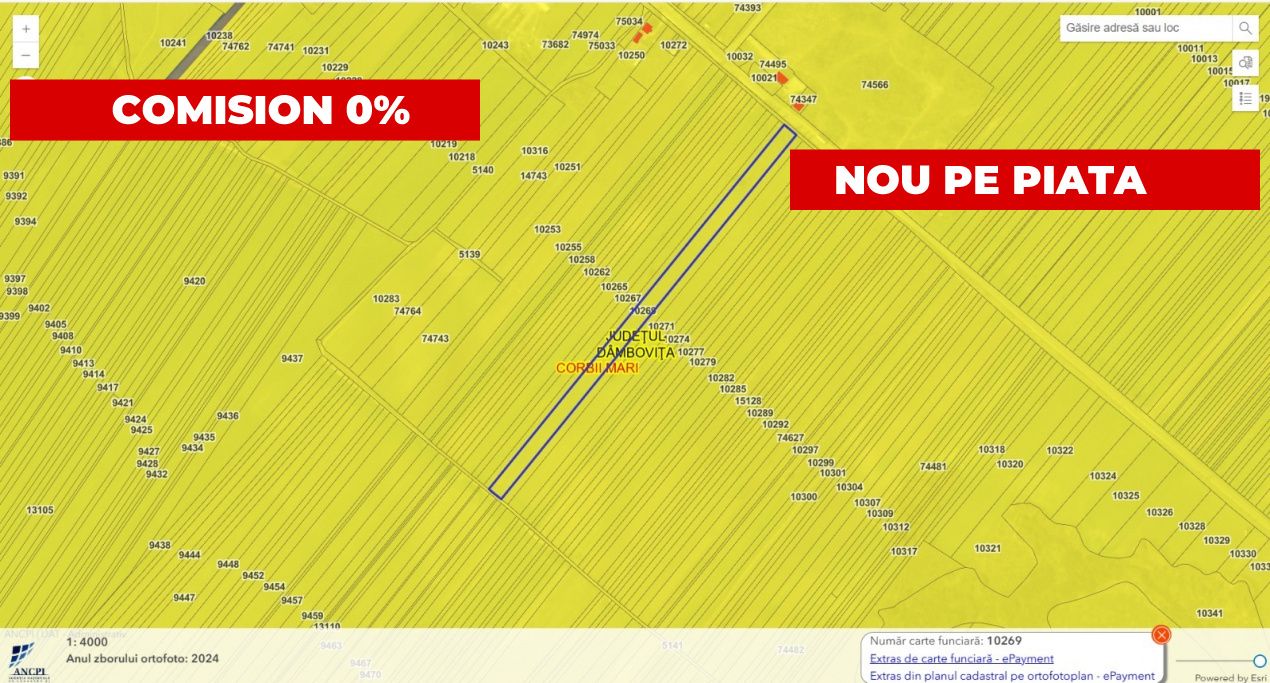 Teren agricol 12.500 mp | Deschidere directă DN61 | Dublu acces | Corbii Mari – fotografia 1 din 7