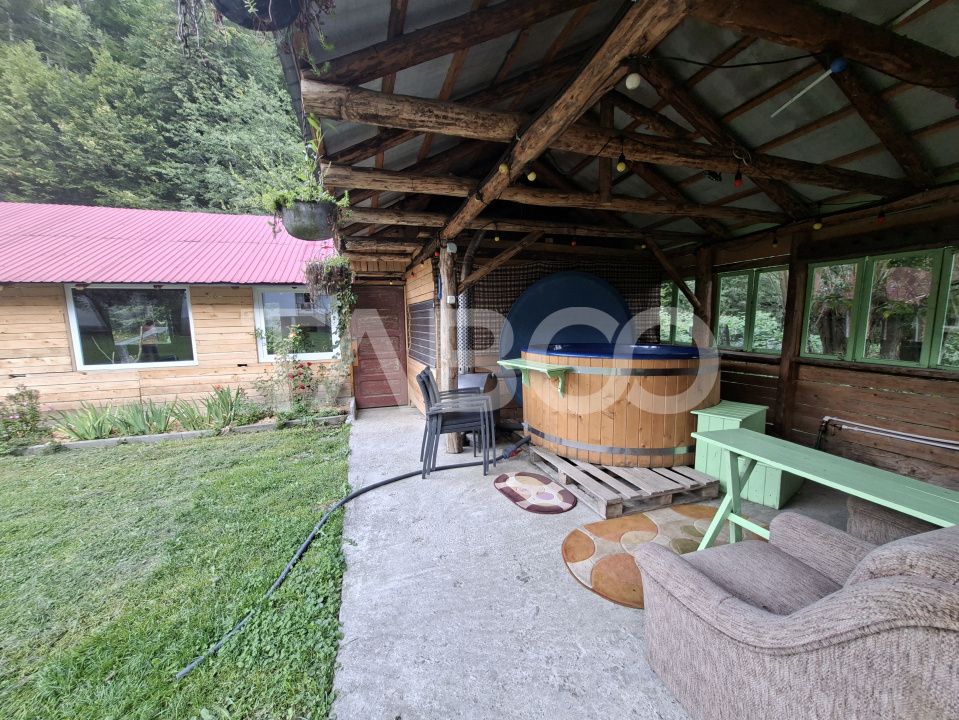 Spatiu de vanzare in Valea Macesului judel Valcea iesire la Lotru – fotografia 32 din 49