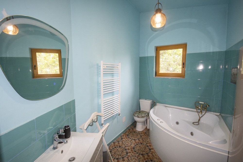 Inchiriere vila cu personalitate zona Tudor Vladimirescu – fotografia 13 din 14