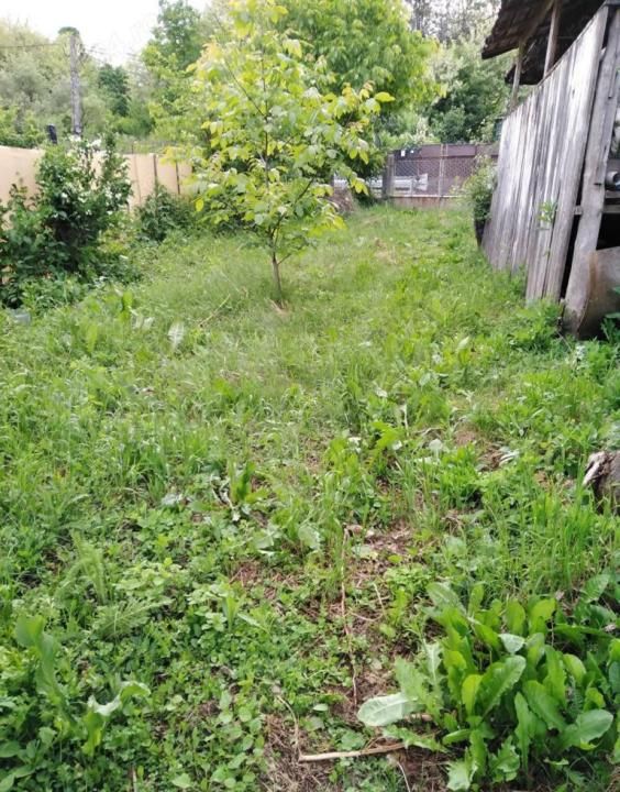 Teren 2500 mp intravilan Smeura – cadru natural, pârâu pe proprietate, utilități – fotografia 2 din 9
