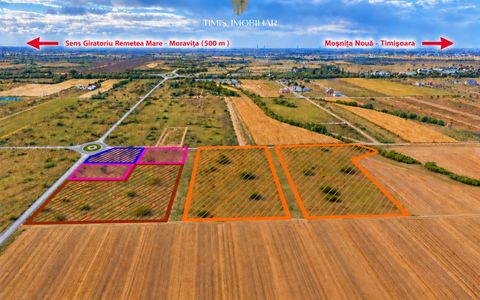 Terenuri 620–767 mp, CF individual – Moșnița Nouă | 0% comision