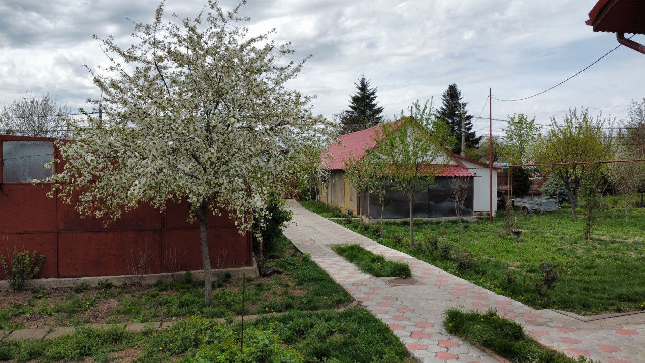 ✨[DOMENIU PRIVAT] Vilă deosebita în Inima Orașului Voluntari | Teren 2.500 mp |✨ – fotografia 37 din 48