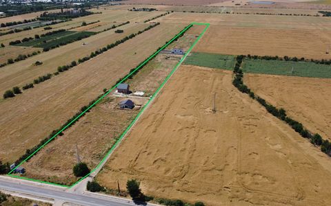 Teren Intravilan In Rate Com. Berceni | utilitati: curent/gaz | #MG4E
