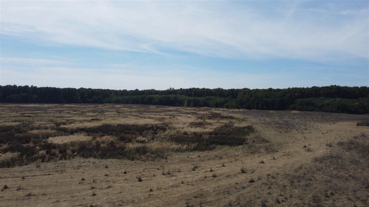 ✨Teren Voluntari-Pipera | 3.700mp | Zonă Pădure & Școli Internaționale✨ – fotografia 7 din 8