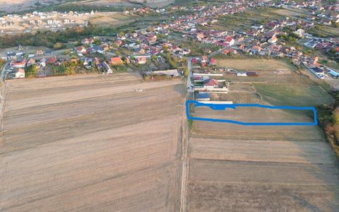 Teren intravilan de vanzare in Cordau , jud. Bihor