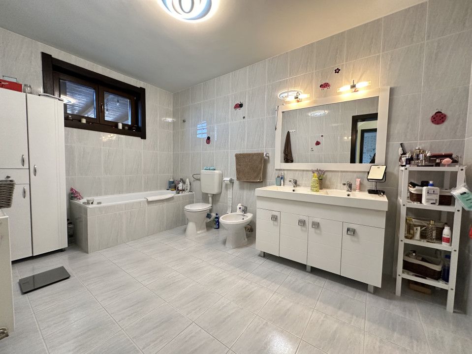 Casa individuală cu 9 camere, 1600 mp teren, 300 mp utili - Sanandrei – fotografia 13 din 18