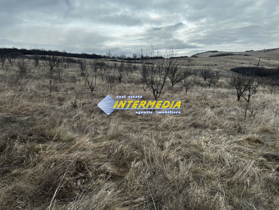 Teren extravilan de vanzare in suprafata de 80000 mp cu livada de pomi fructiferi – fotografia 2 din 11