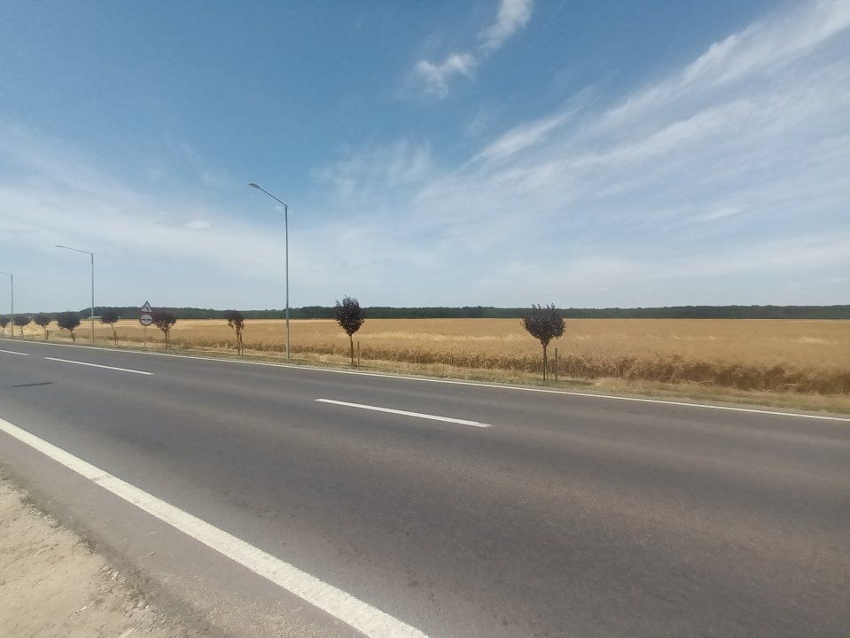 Teren Vanzare Intravilan Branesti investitie Zona Industriala Makita – fotografia 32 din 35