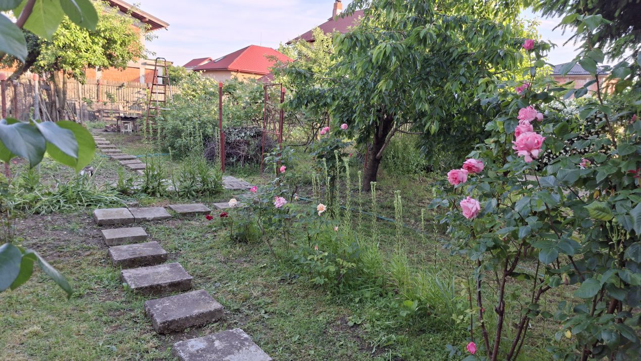 Casă cu teren 1000mp - zona SLAVA – fotografia 19 din 20