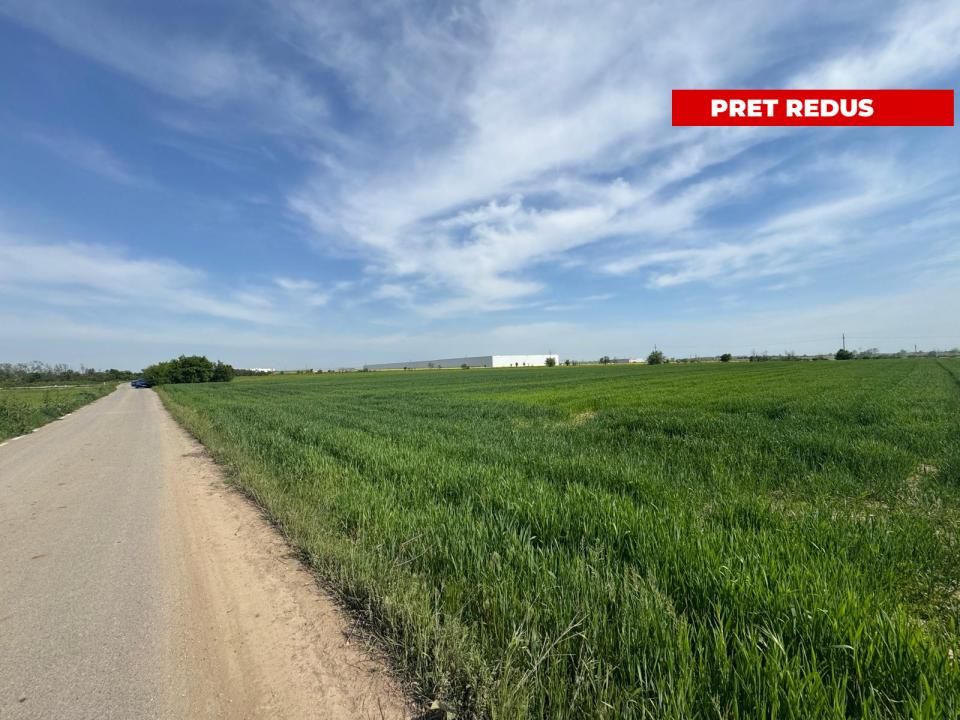 🚨 OPORTUNITATE| Teren intravilan 5.000 mp | Ghionea – Ulmi – Giurgiu |dubla D – fotografia 5 din 6