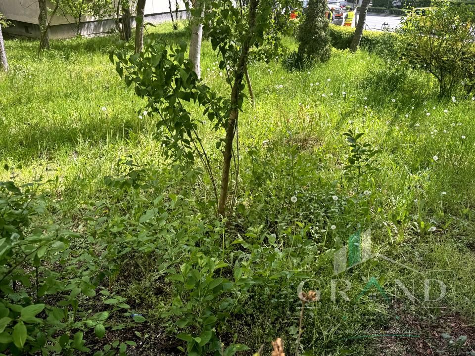 3 Camere Decomandat | 2 Băi | 69 mp | Parter | Zorilor/P-ța Zorilor/Observatorul – fotografia 32 din 38