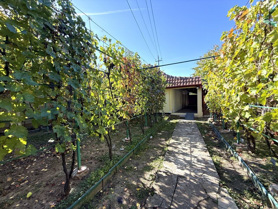 Casa individuala cu 4 camere | 124 mp | 430 mp teren | zona Plopi – fotografia 1 din 39
