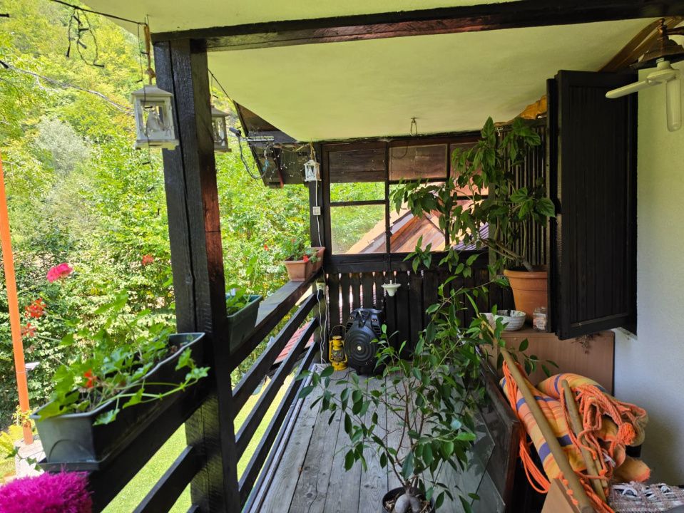 🏡 PROPRIETATE EXTRAORDINARĂ– LOTRIOARA, JUDEȚUL SIBIU! 🌲 – fotografia 17 din 72