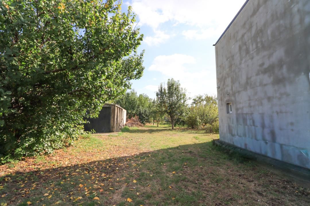 AFACERE LA CHEIE – SPAȚIU COMERCIAL | TĂMĂDĂU MARE | STRADA PRINCIPALA – fotografia 8 din 24