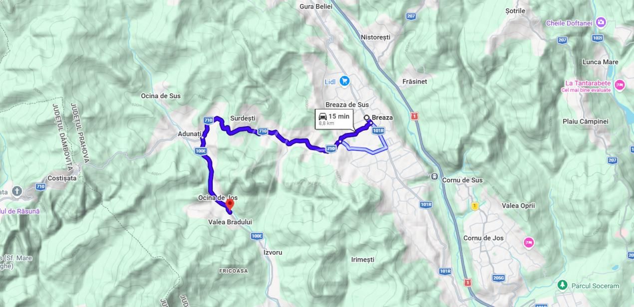 TEREN IN SUPRFATA DE 2870 MP IN PROVITA DE SUS VALEA BRADULUI JUD PRAHOVA – fotografia 13 din 16