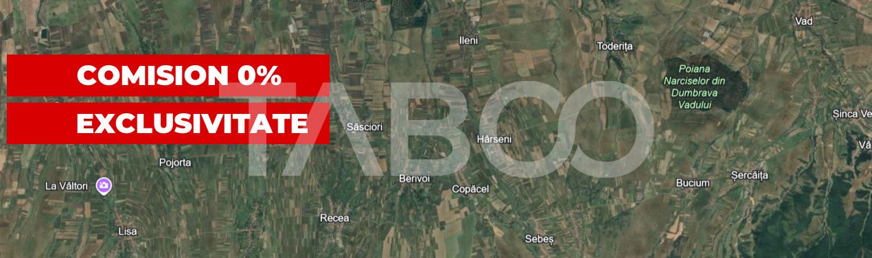 Teren intravilan 2200 mp cu utilitati in apropiere Sat Savastreni – fotografia 3 din 3