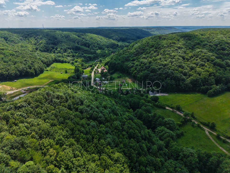 Teren Pasune + Arabil - Valea Mare Podgoria Arges – fotografia 24 din 29