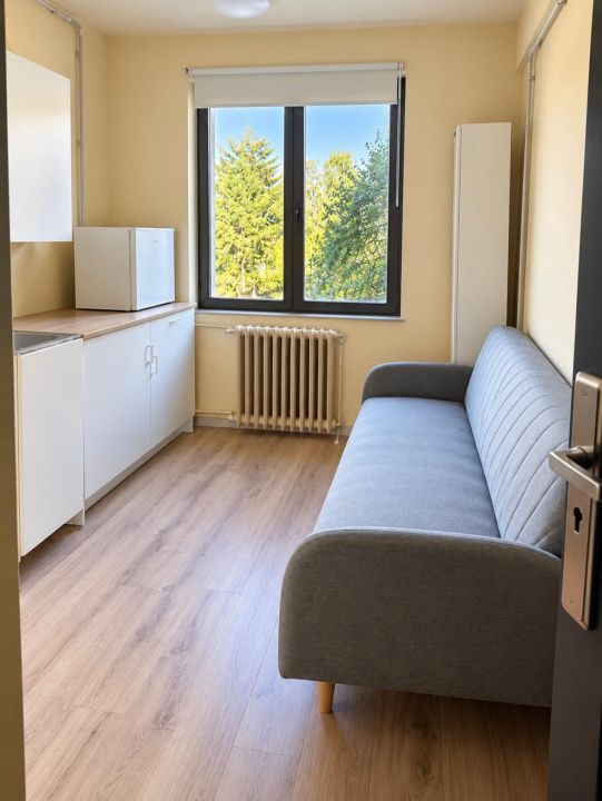 SE INCHIRIAZA GARSONIERA 11MP2 ,ZONA ALBAC ,RENOVATA – fotografia 1 din 5