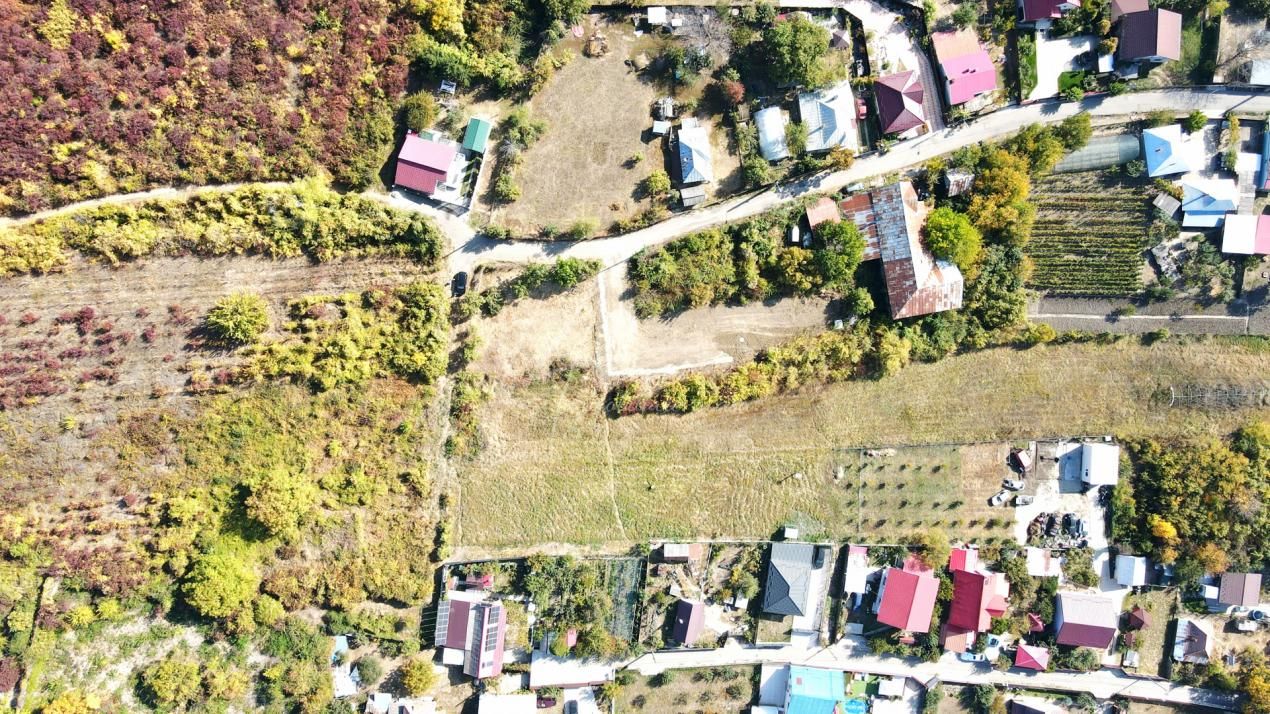 Teren intravilan de 1.800 mp, lângă cramă, Viișoara, Ștefănești, Argeș – fotografia 7 din 11
