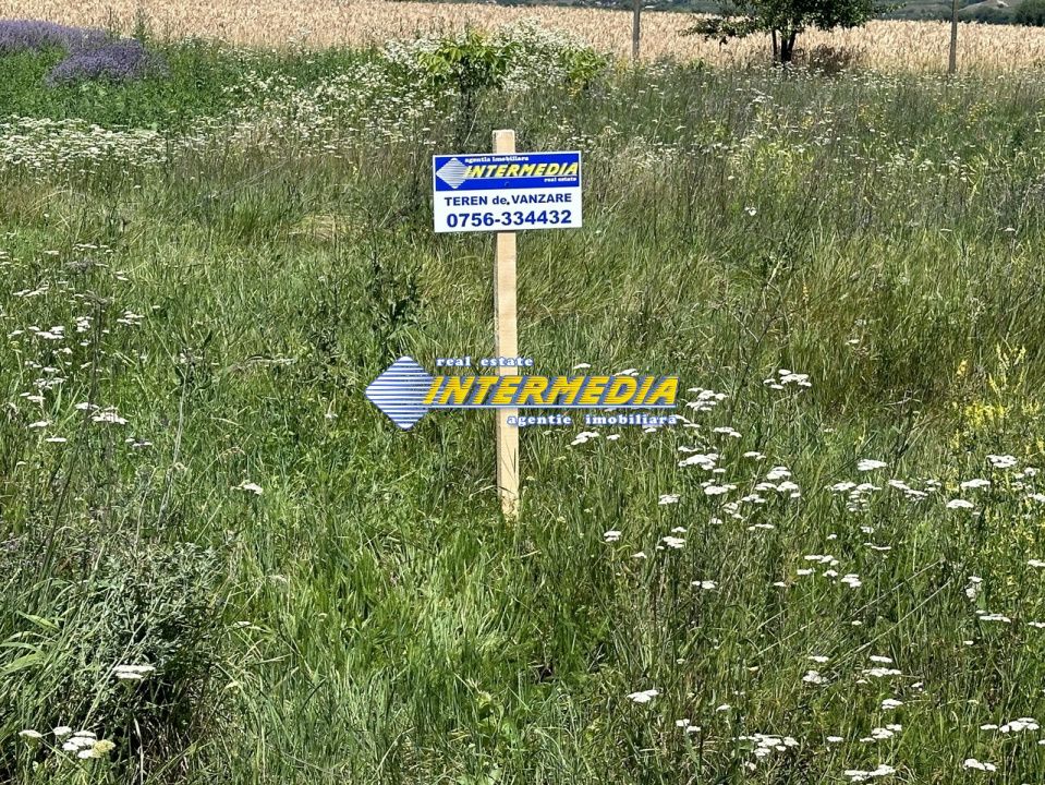 Teren Intravilan I de vanzare I562 mp I Alba Iulia I zona Micesti I – fotografia 1 din 7