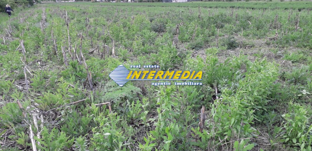 Teren Intravilan de Vanzare 940 mp cu utilitati – fotografia 3 din 3