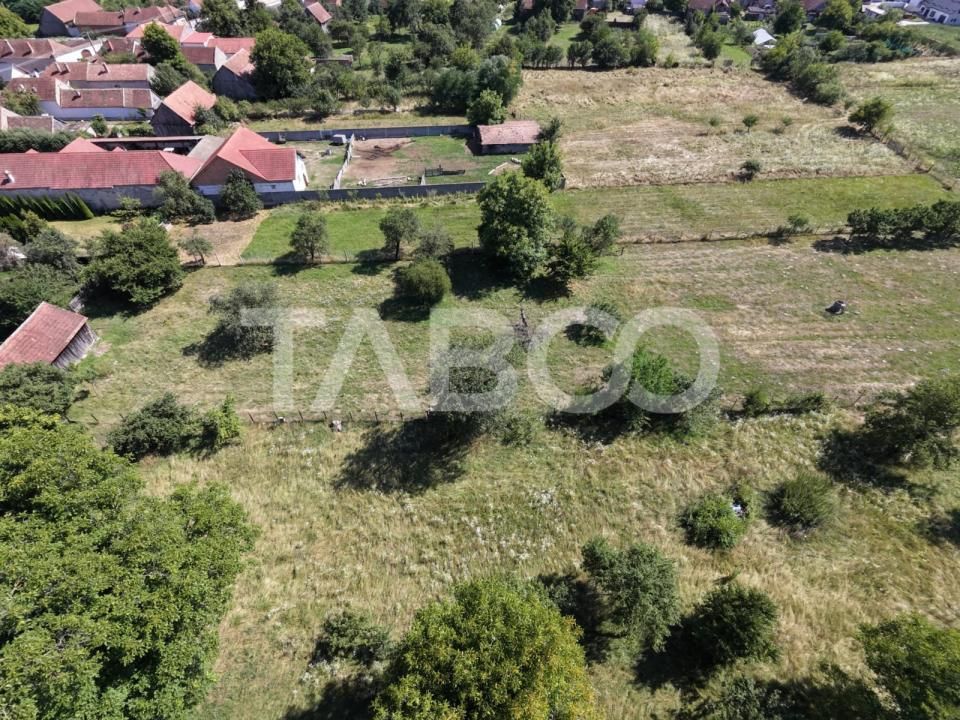 Teren intravilan 2000 mp si extravilan 1150 mp de vanzare in Vad – fotografia 6 din 6