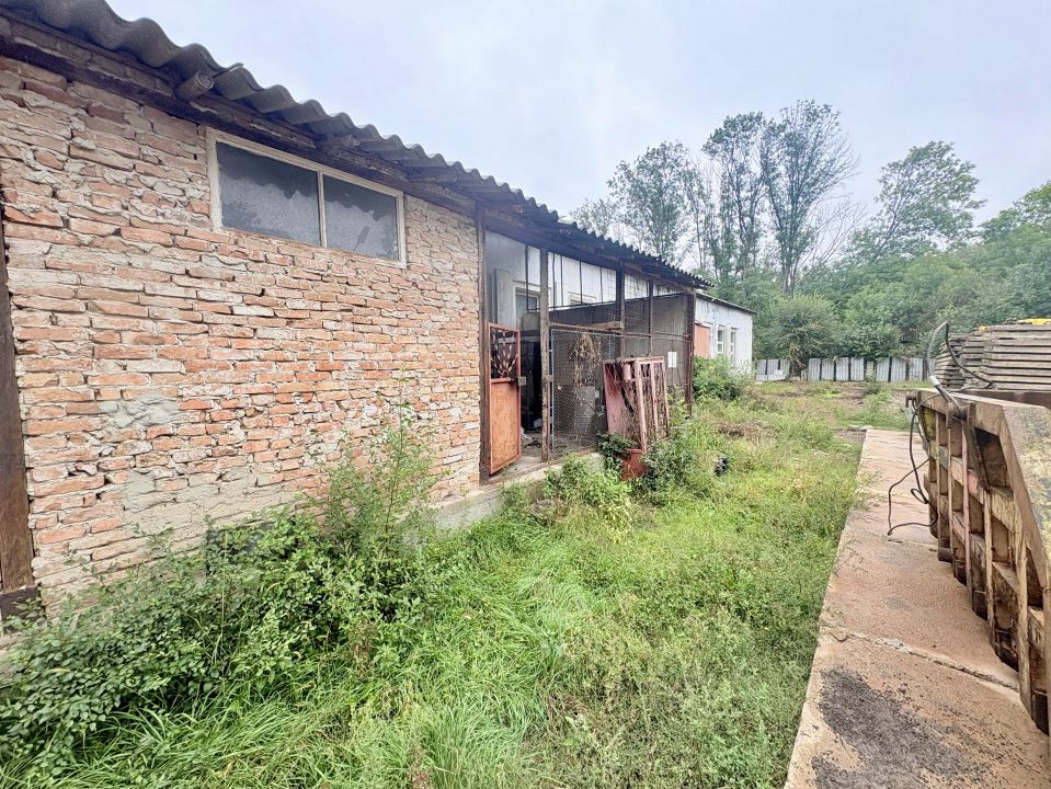 Hala 450 mp in mijlocul padurii Valu lui Traian cu teren 1875 mp – fotografia 6 din 9