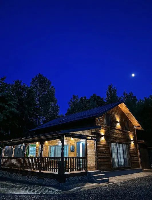 Cabană – afacere la cheie | 4 dormitoare | Piscină încălzită | Valea Ierii – fotografia 2 din 13