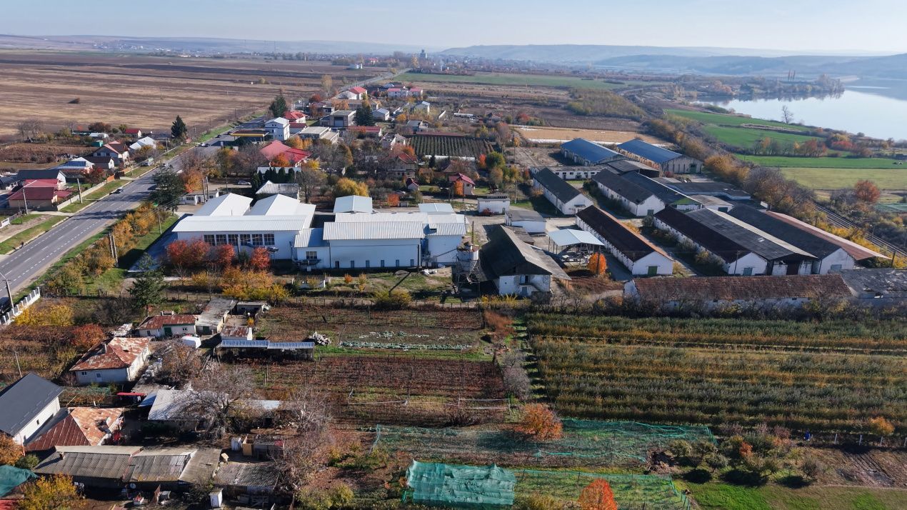 Complex Agroindustrial – Stație Uscare | Condiționare | Depozitare Seminte – fotografia 12 din 31