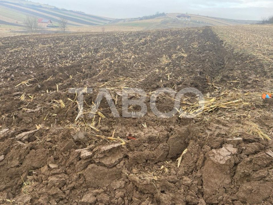 Teren  intravilan 9300 mp de vanzare cu acces la utilitati  Sura Mare – fotografia 3 din 3