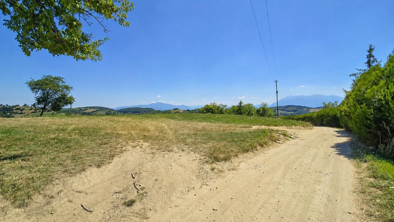 De vânzare teren de 8.544 mp în Poiana Mărului | Teren cu potențial – fotografia 3 din 10