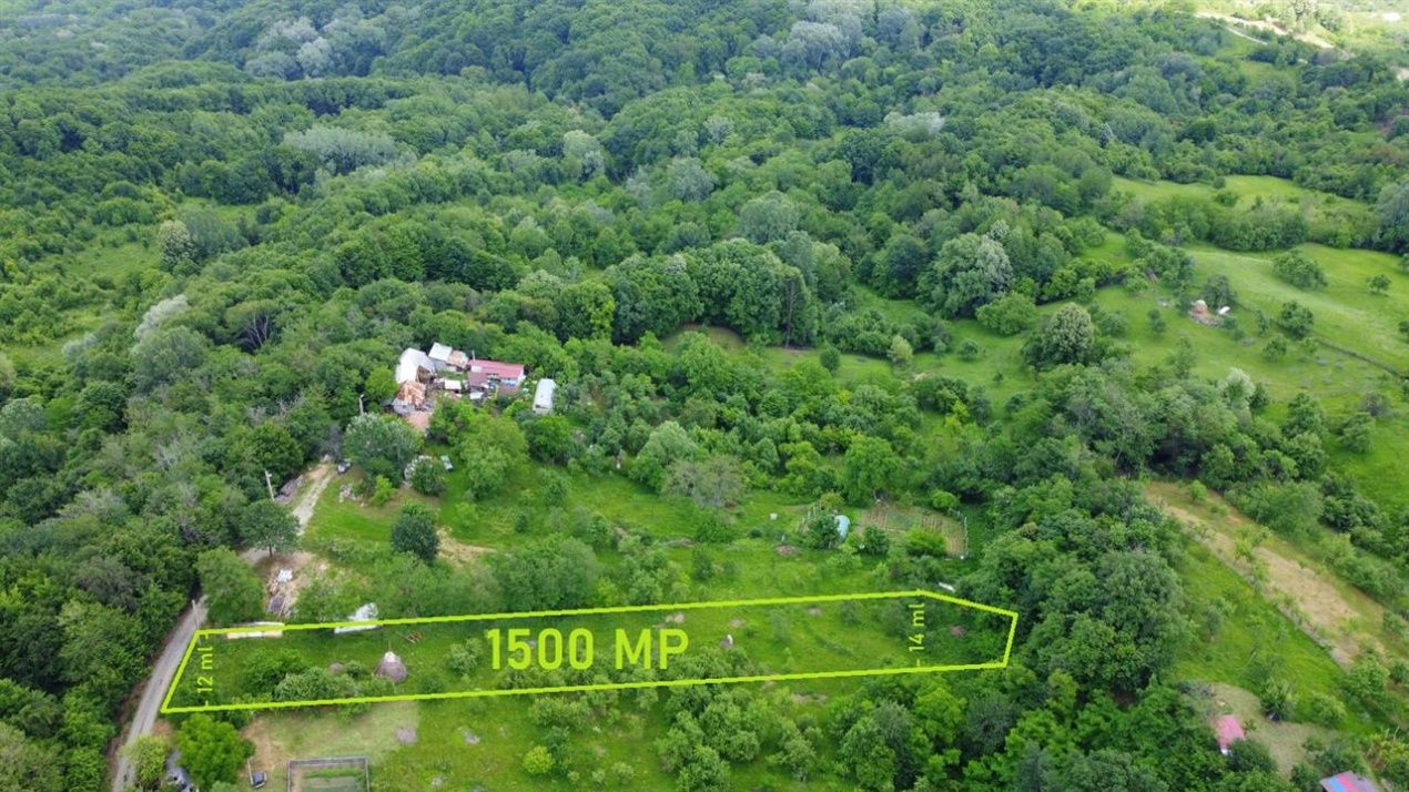 DEALUL MALULUI TEREN 1500 MP INCONJURAT DE PADURE – fotografia 2 din 11