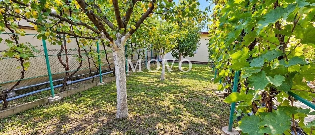 Casa individuala 3 camere | 430mp Teren | Zona Plopi – fotografia 7 din 8
