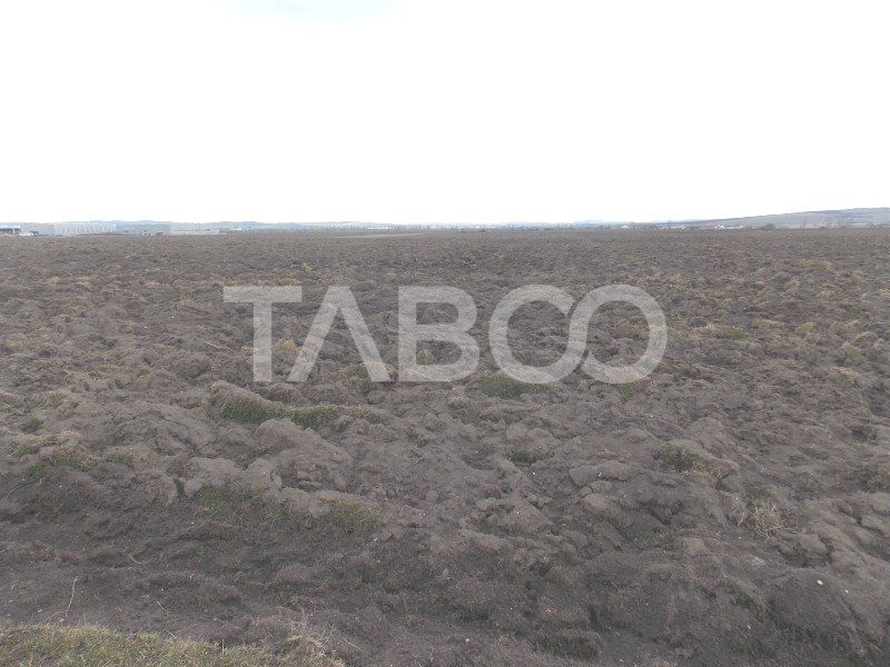 Teren intravilan de vanzare 10.000 mp in zona Industriala Vest Sibiu – fotografia 5 din 5