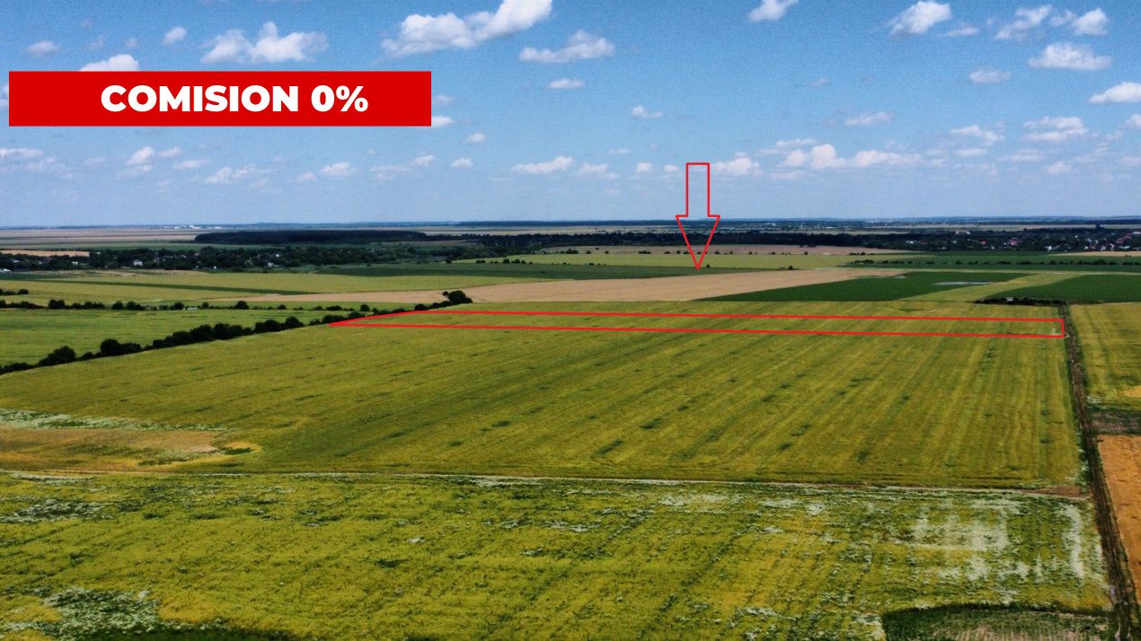 Teren Intravilan 20.000 mp Creața Dascălu, T66– dubla deschidere – fotografia 1 din 7